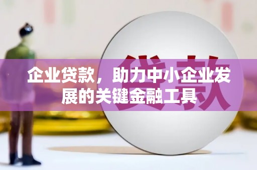 盈江企业贷款，助力中小企业发展的关键金融工具