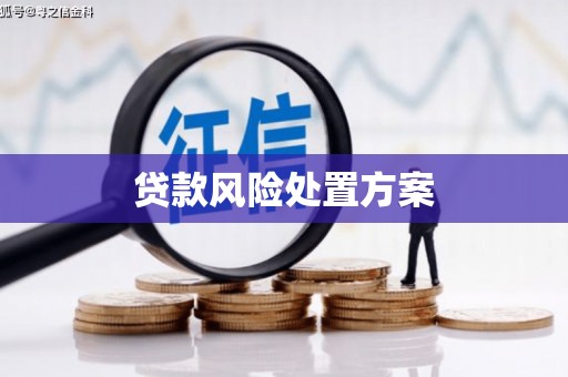 盈江贷款风险处置方案