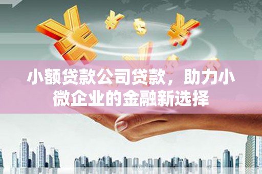 盈江小额贷款公司贷款，助力小微企业的金融新选择