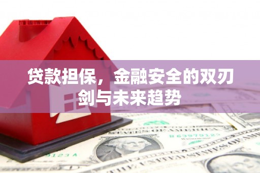 盈江贷款担保，金融安全的双刃剑与未来趋势