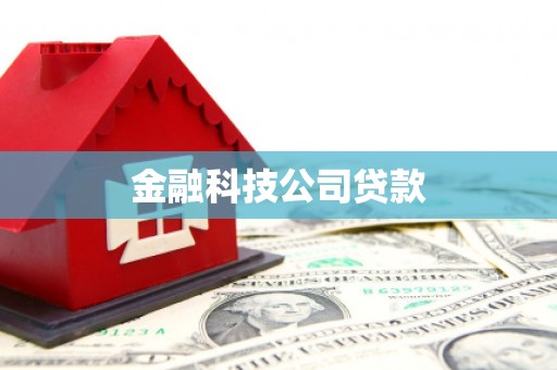 盈江金融科技公司贷款