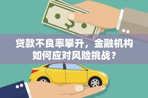 盈江贷款不良率攀升，金融机构如何应对风险挑战？