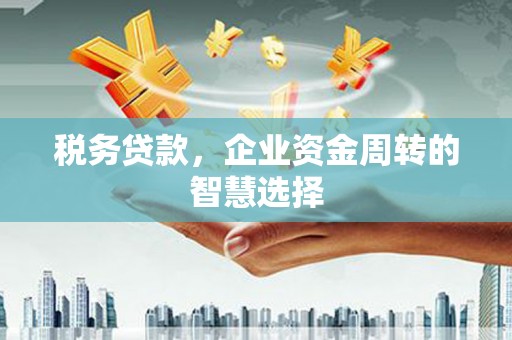 盈江税务贷款，企业资金周转的智慧选择