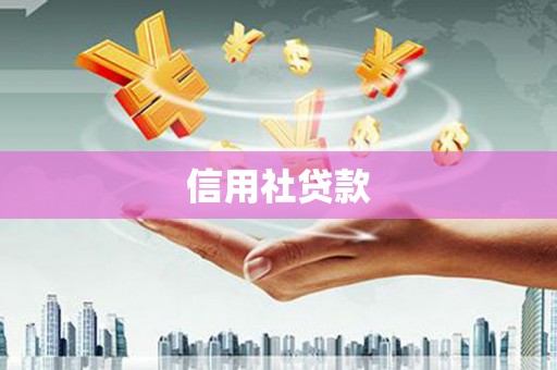 盈江信用社贷款