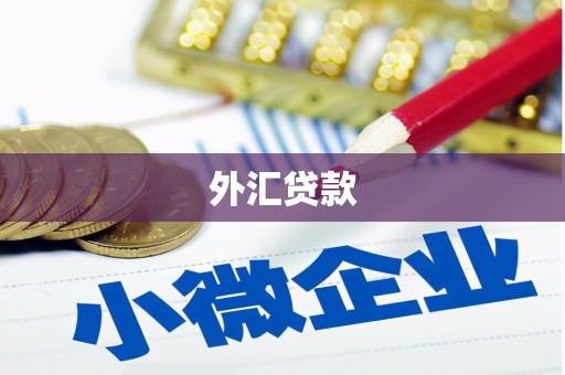 盈江外汇贷款