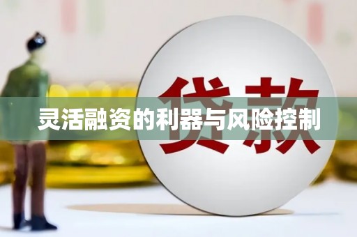 盈江灵活融资的利器与风险控制