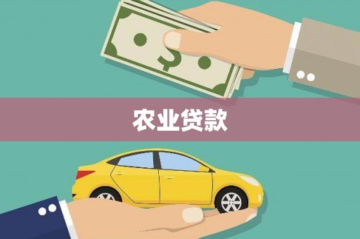 盈江农业贷款