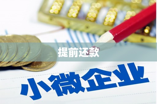 盈江提前还款