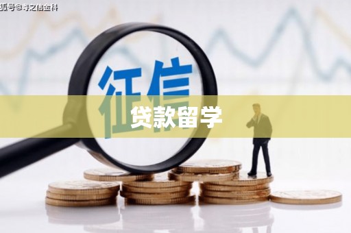盈江贷款留学