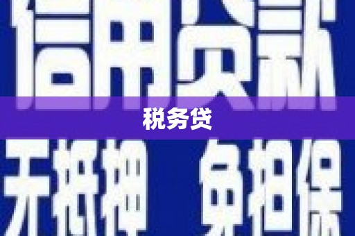 盈江税务贷