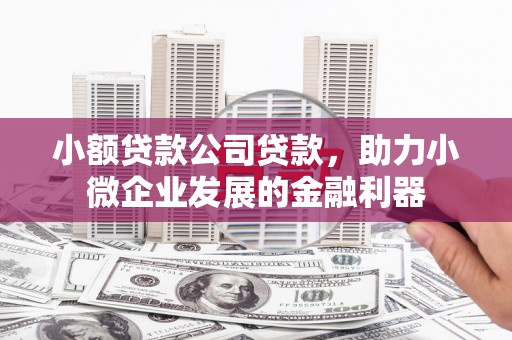 盈江小额贷款公司贷款，助力小微企业发展的金融利器
