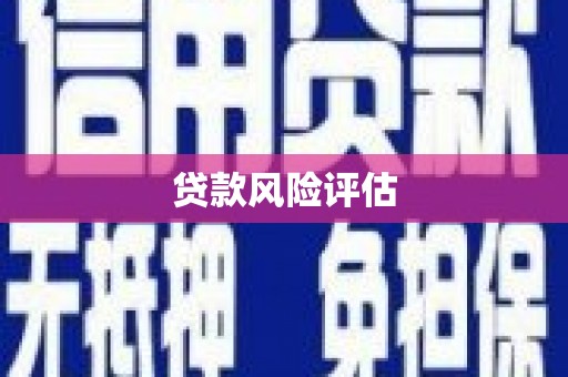 盈江贷款风险评估