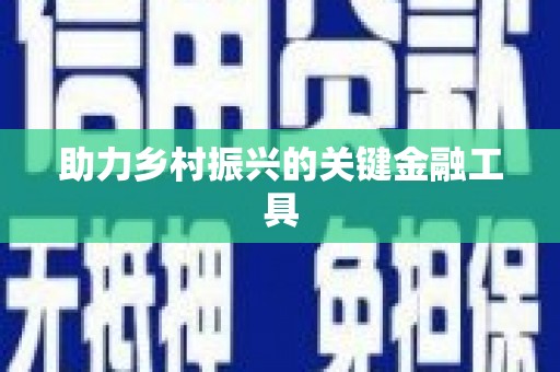 盈江助力乡村振兴的关键金融工具