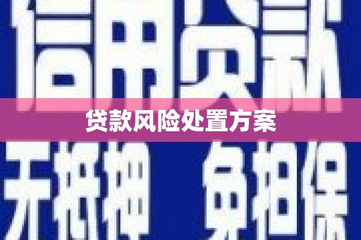 盈江贷款风险处置方案