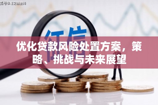盈江优化贷款风险处置方案，策略、挑战与未来展望