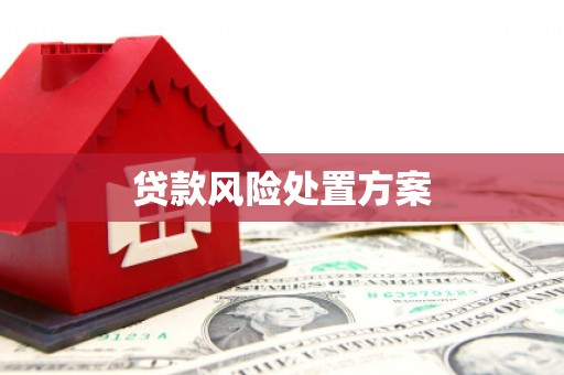 盈江贷款风险处置方案