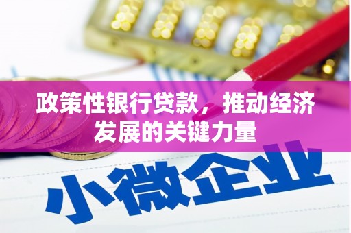 盈江政策性银行贷款，推动经济发展的关键力量