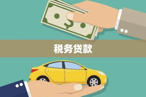 盈江税务贷款