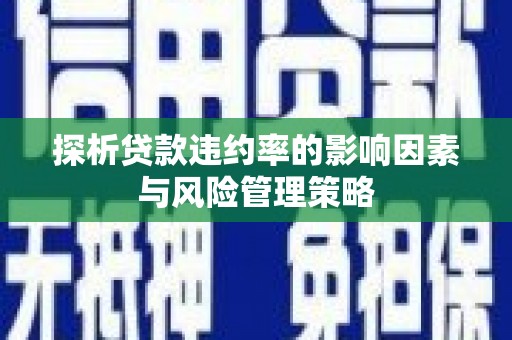 盈江探析贷款违约率的影响因素与风险管理策略