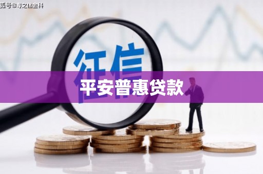 盈江平安普惠贷款