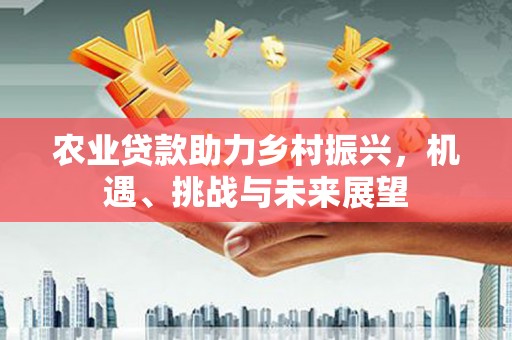 盈江农业贷款助力乡村振兴，机遇、挑战与未来展望