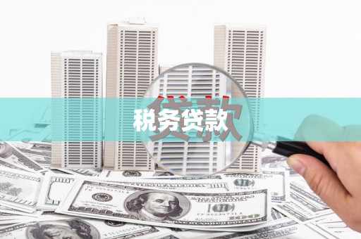 盈江税务贷款
