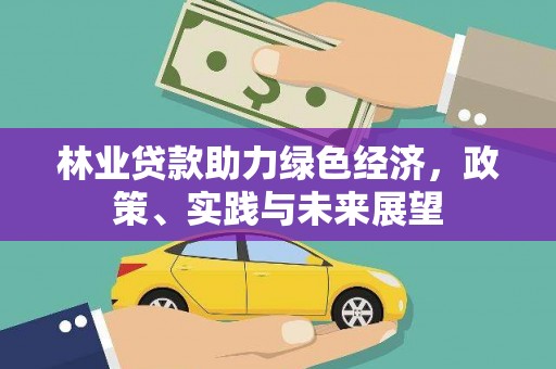 盈江林业贷款助力绿色经济，政策、实践与未来展望
