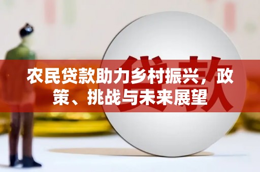 盈江农民贷款助力乡村振兴，政策、挑战与未来展望