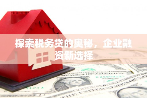 盈江探索税务贷的奥秘，企业融资新选择