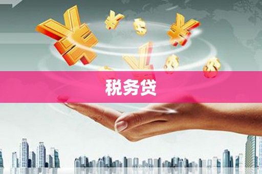 盈江税务贷