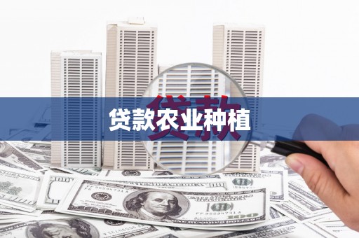 盈江贷款农业种植