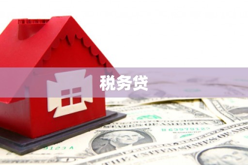 盈江税务贷