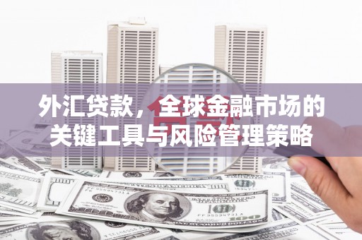 盈江外汇贷款，全球金融市场的关键工具与风险管理策略