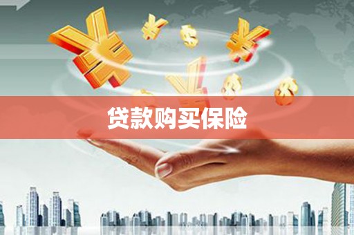 盈江贷款购买保险