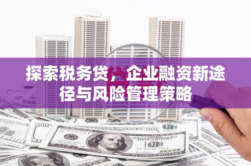 盈江探索税务贷，企业融资新途径与风险管理策略