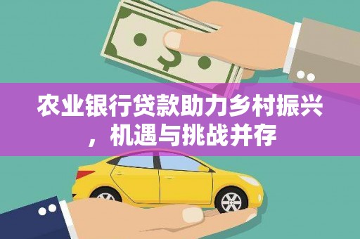 盈江农业银行贷款助力乡村振兴，机遇与挑战并存