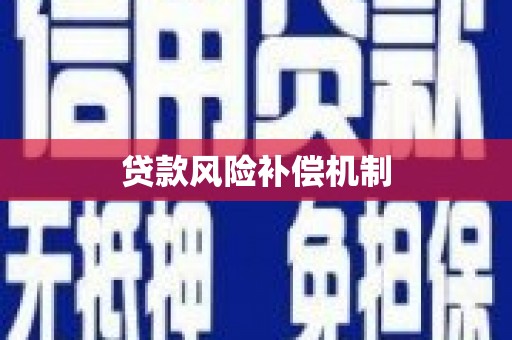 盈江贷款风险补偿机制