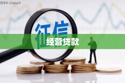 盈江经营贷款