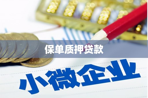 盈江保单质押贷款