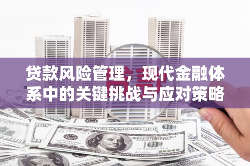 盈江贷款风险管理，现代金融体系中的关键挑战与应对策略