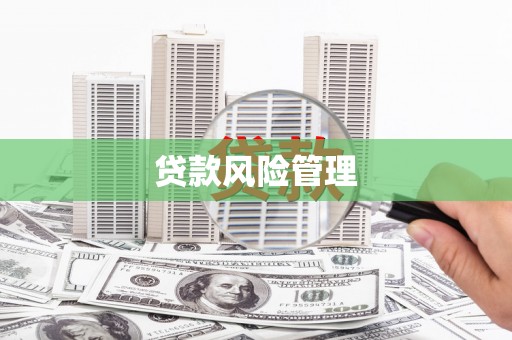 盈江贷款风险管理