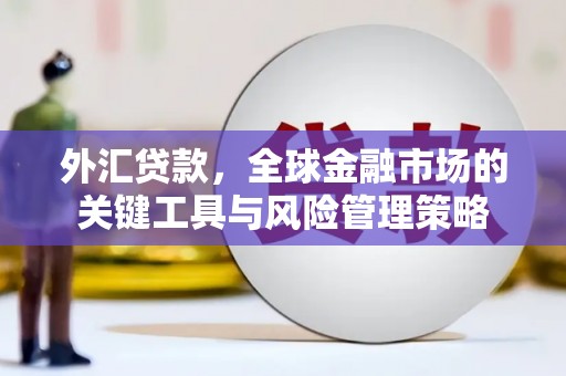 盈江外汇贷款，全球金融市场的关键工具与风险管理策略