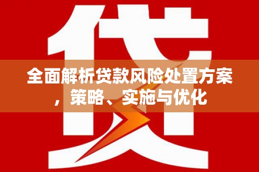 盈江全面解析贷款风险处置方案，策略、实施与优化