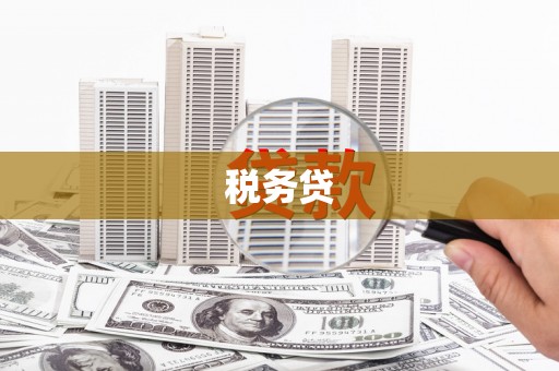 盈江税务贷