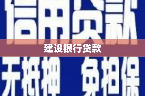 盈江建设银行贷款