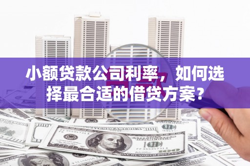盈江小额贷款公司利率，如何选择最合适的借贷方案？