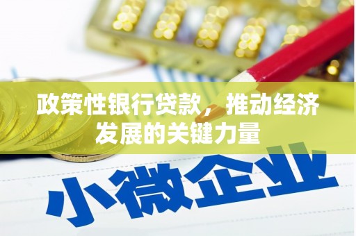 盈江政策性银行贷款，推动经济发展的关键力量