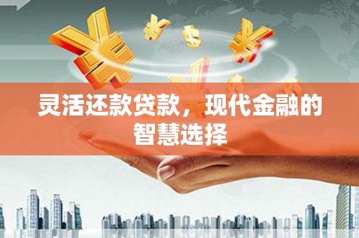 盈江灵活还款贷款，现代金融的智慧选择