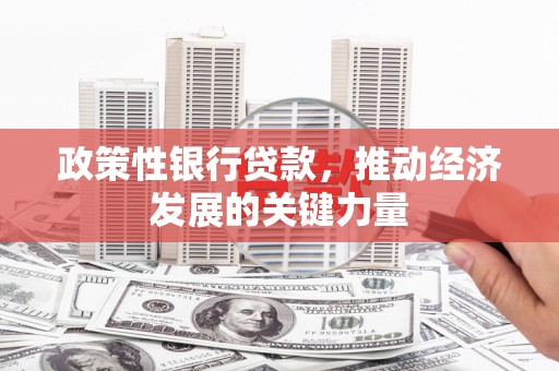 盈江政策性银行贷款，推动经济发展的关键力量