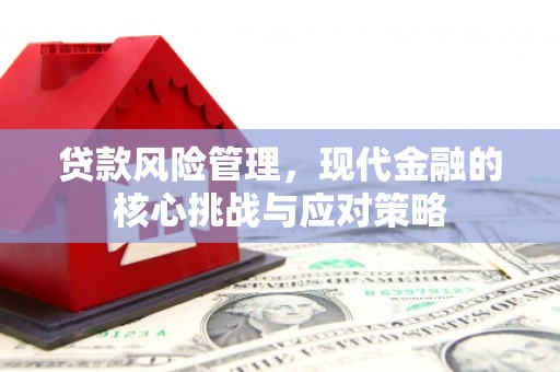 盈江贷款风险管理，现代金融的核心挑战与应对策略